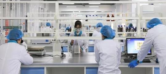 從養河豚到蓋“金磚”大廈 一家企業的跨界轉型與科技突圍之路